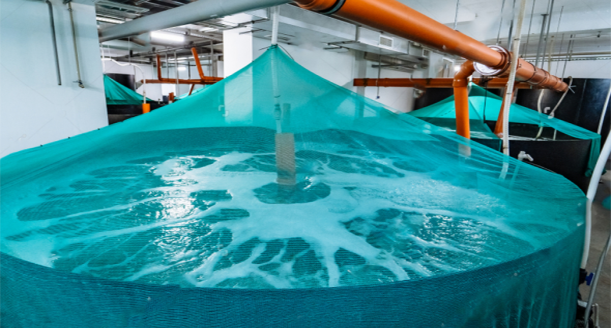 Aquaculture